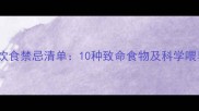 金毛犬饮食禁忌清单10种致命食物及科学喂养指南