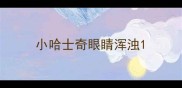 小哈士奇眼睛浑浊