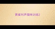 黄雀叫声猫咪训练