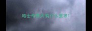 哈士奇赛犬有什么要求