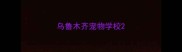 乌鲁木齐宠物学校
