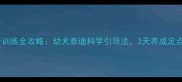 狗狗关笼子训练全攻略幼犬泰迪科学引导法3天养成定点如厕习惯