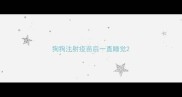 狗狗注射疫苗后一直睡觉