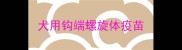 犬用钩端螺旋体疫苗
