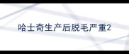 哈士奇生产后脱毛严重