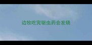 边牧吃完驱虫药会发烧