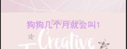 狗狗几个月就会叫
