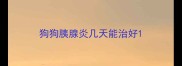 狗狗胰腺炎几天能治好
