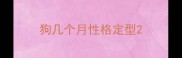 狗几个月性格定型