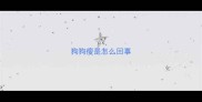 狗狗瘦是怎么回事
