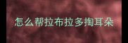 怎么帮拉布拉多掏耳朵