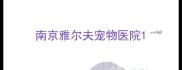南京雅尔夫宠物医院