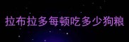 拉布拉多每顿吃多少狗粮
