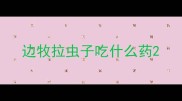 边牧拉虫子吃什么药