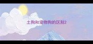 土狗和宠物狗的区别