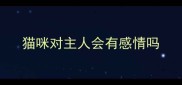 猫咪对主人会有感情吗