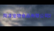 菏泽宠物食品有限公司