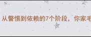 狗狗对主人的感情从警惕到依赖的7个阶段你家毛孩处于哪一阶段