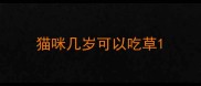 猫咪几岁可以吃草
