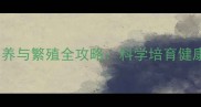 沈阳拉布拉多犬种犬饲养与繁殖全攻略科学培育健康种犬的五大核心要点