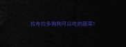 拉布拉多狗狗可以吃的蔬菜