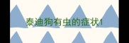 泰迪狗有虫的症状