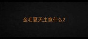金毛夏天注意什么