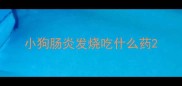 小狗肠炎发烧吃什么药