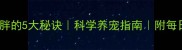 泰迪犬不胖的5大秘诀科学养宠指南附每日喂食表