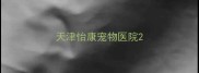 天津怡康宠物医院