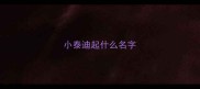 小泰迪起什么名字