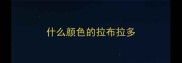 什么颜色的拉布拉多