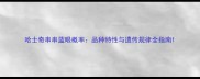 哈士奇串串蓝眼概率品种特性与遗传规律全指南