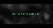 国产犬五联疫苗哪个好
