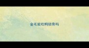金毛能吃鸭锁骨吗