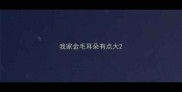 我家金毛耳朵有点大