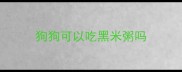 狗狗可以吃黑米粥吗