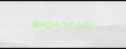 猫咪舔毛为什么咬