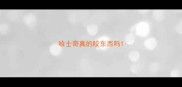 哈士奇真的咬东西吗