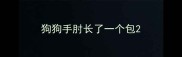 狗狗手肘长了一个包