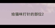 给猫咪打针的部位