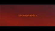 边牧耳朵要不要矫正