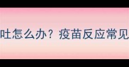 8岁狗狗打完疫苗后呕吐怎么办疫苗反应常见原因及紧急处理指南