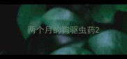 两个月的狗驱虫药