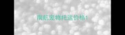南航宠物托运价格