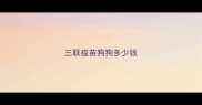 三联疫苗狗狗多少钱