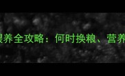 拉布拉多成犬粮喂养全攻略何时换粮营养搭配与常见误区