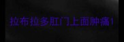 拉布拉多肛门上面肿痛