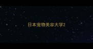 日本宠物美容大学
