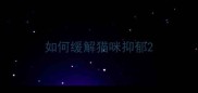 如何缓解猫咪抑郁